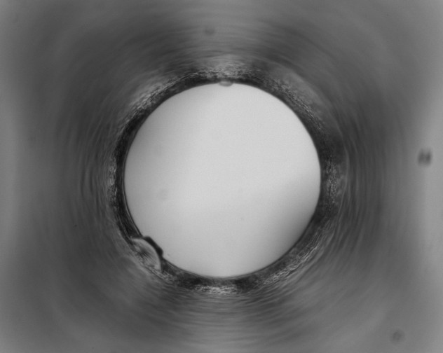 X0000097900548200804041439