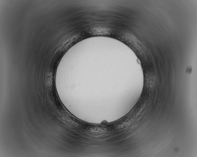 X0000097900549200804041439