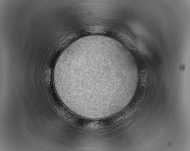 X0000097900550200804041440