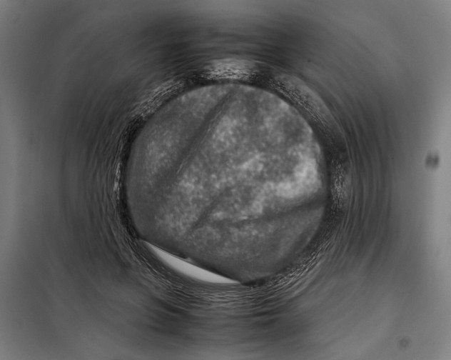 X0000097900551200804041440