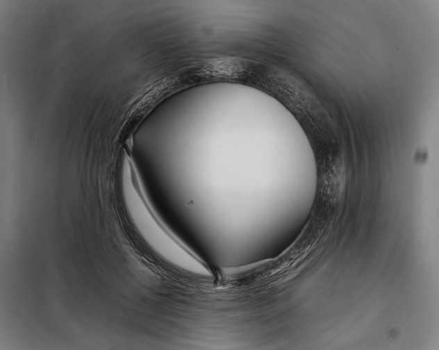 X0000097900552200804041440