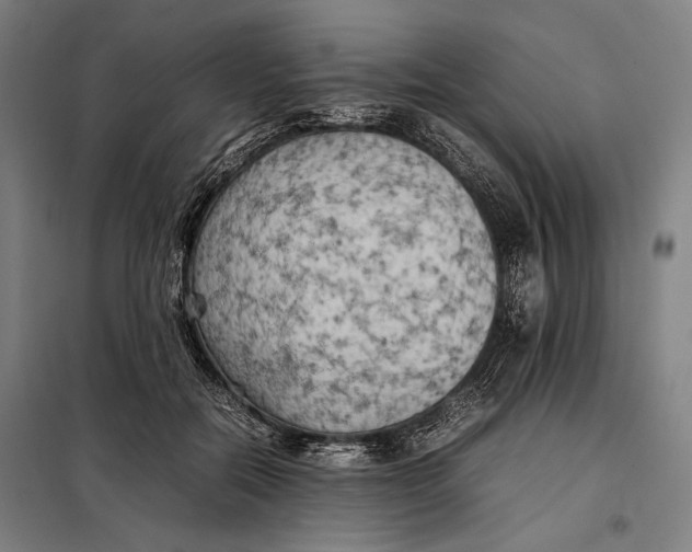 X0000097900554200804041440