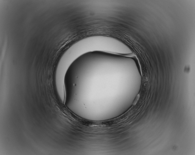 X0000097900556200804041440