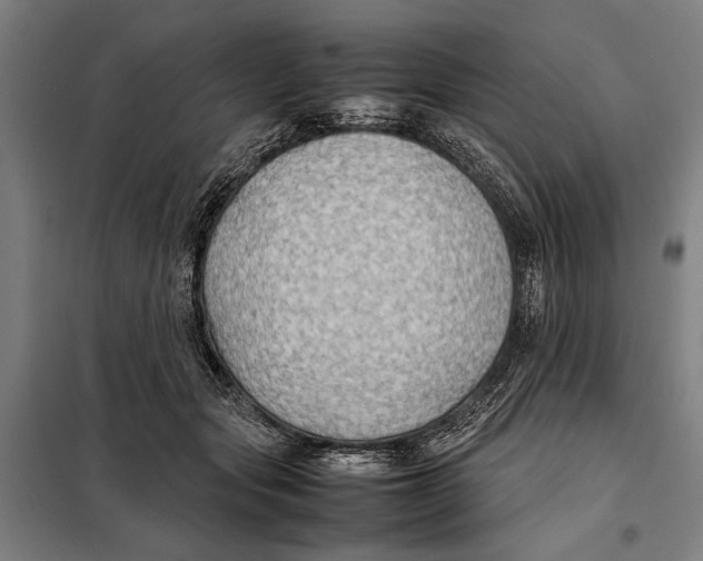 X0000097900557200804041440