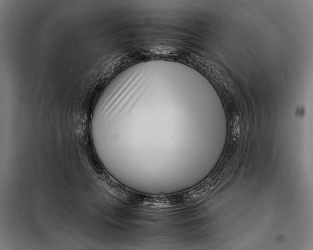 X0000097900559200804041440