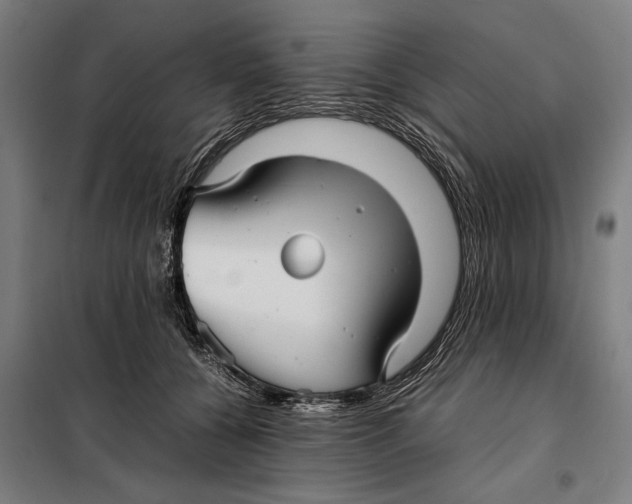 X0000097900560200804041440