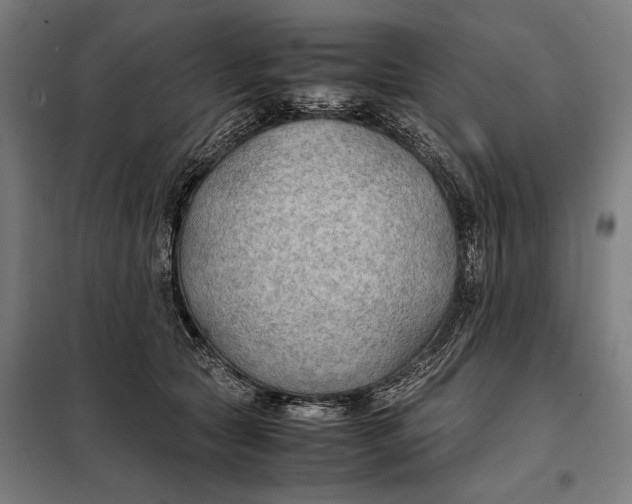 X0000097900561200804041440