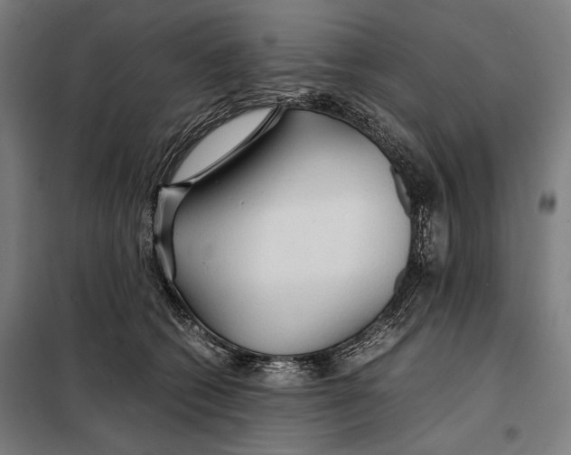 X0000097900562200804041440