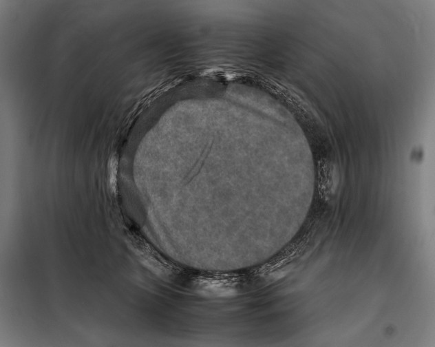 X0000097900563200804041440