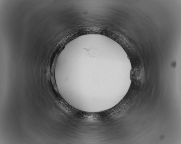 X0000097900564200804041440