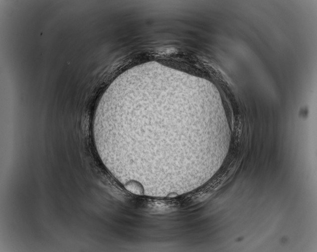 X0000097900565200804041440