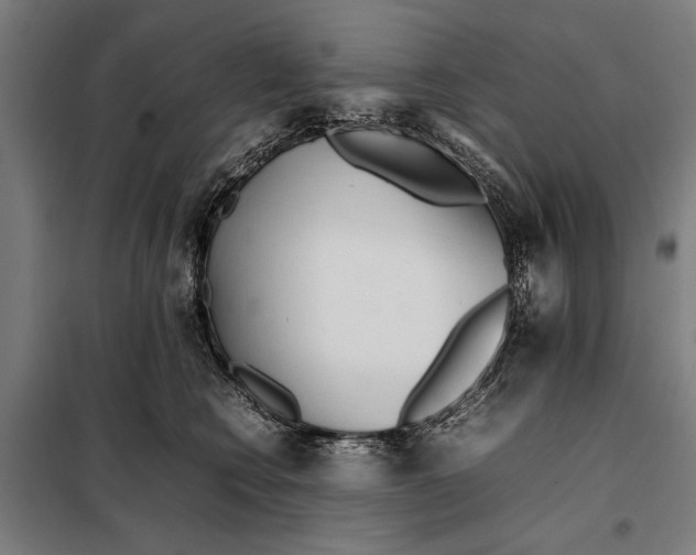 X0000097900566200804041440