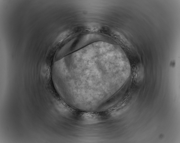 X0000097900568200804041440