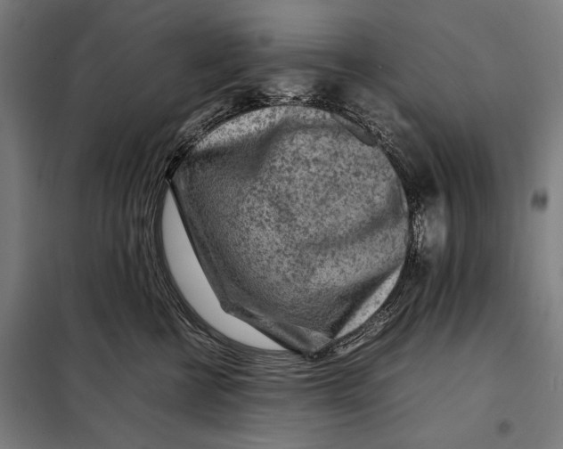 X0000097900570200804041440