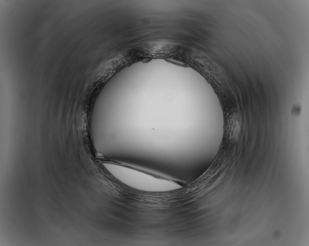 X0000097900571200804041440