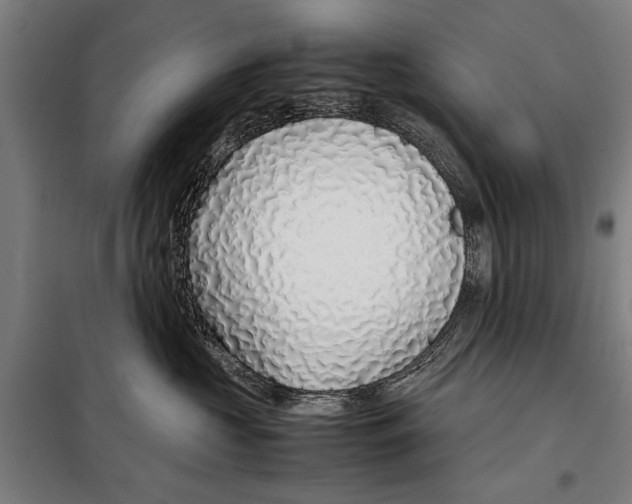 X0000097900573200804041440