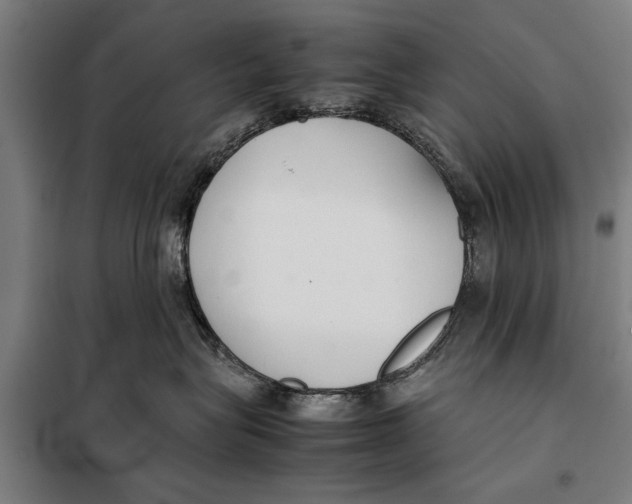 X0000097900575200804041440