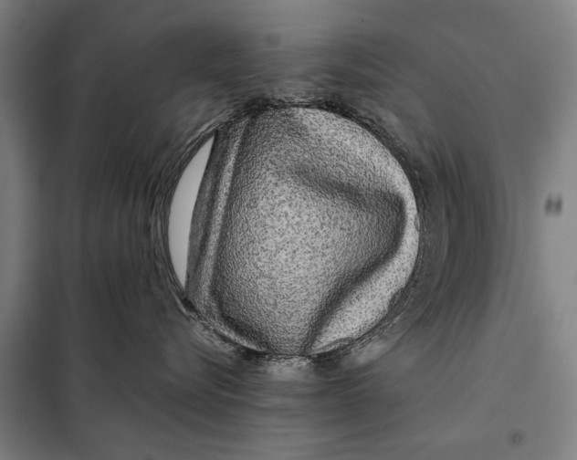 X0000097900576200804041440