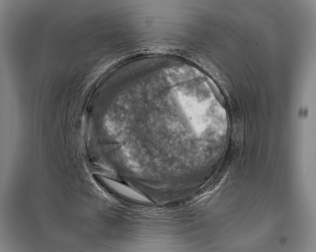 X0000097900577200804041439