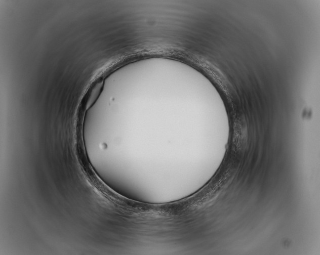 X0000097900578200804041439