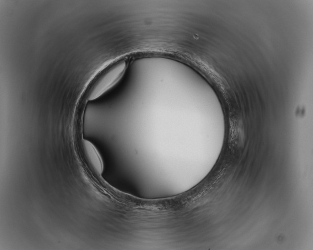 X0000097900580200804041439