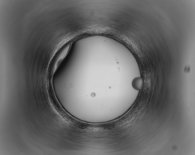 X0000097900582200804041439