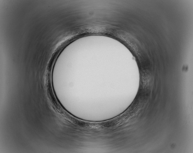 X0000097900583200804041439