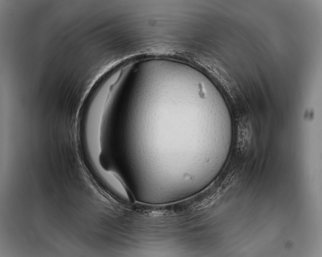 X0000097900584200804041439