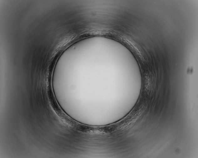 X0000097900586200804041439