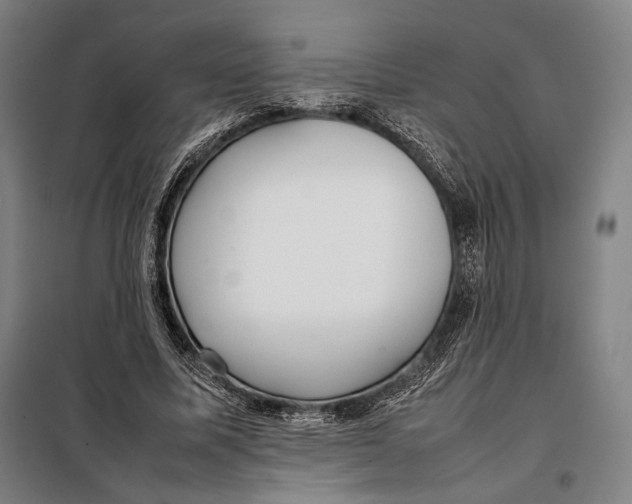 X0000097900587200804041439