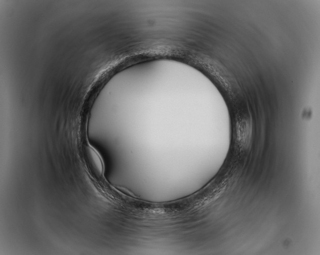 X0000097900588200804041439