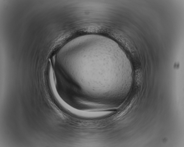 X0000097900589200804041439