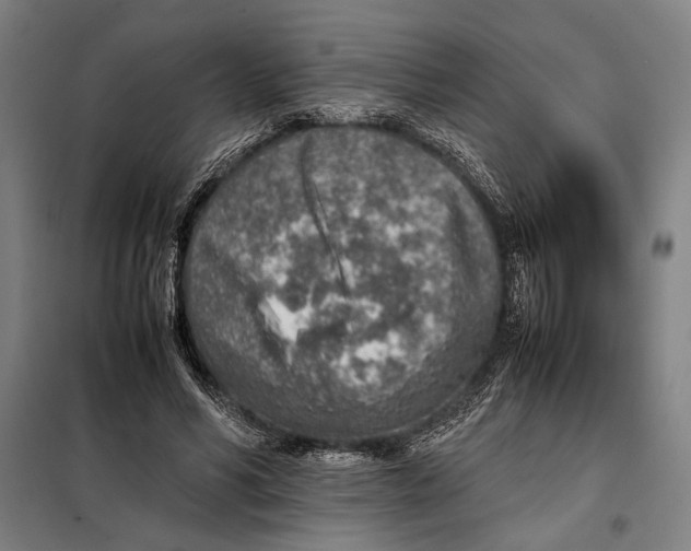 X0000097900590200804041439