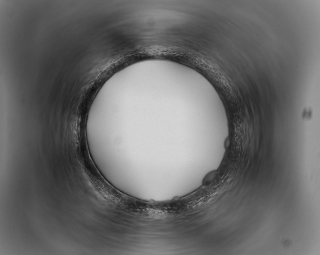 X0000097900592200804041439