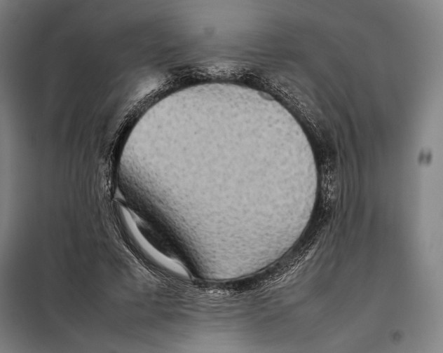 X0000097900593200804041439