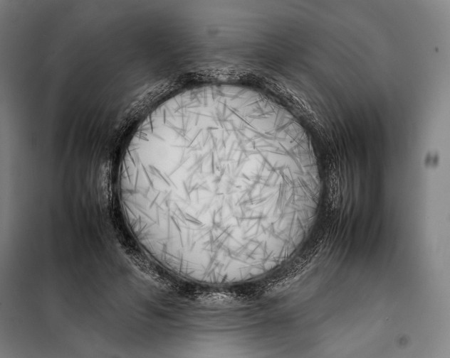 X0000097900594200804041439