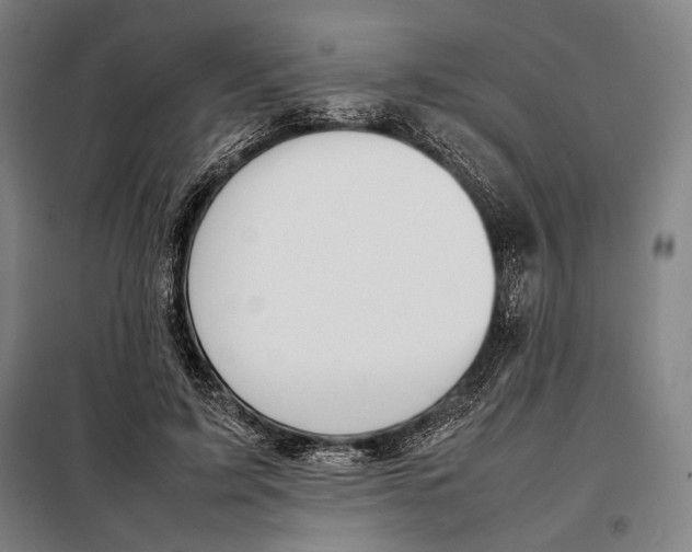 X0000097900595200804041439