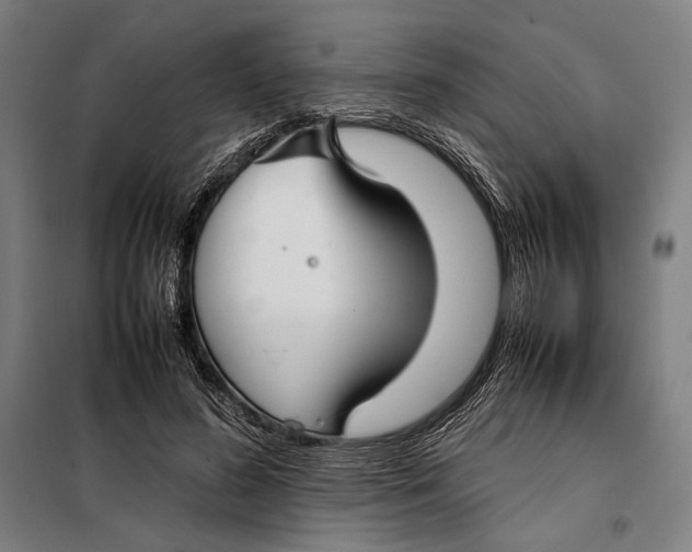 X0000097900596200804041439