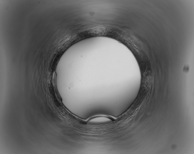 X0000097900597200804041439