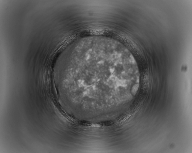 X0000097900598200804041439