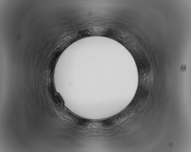 X0000097900599200804041439