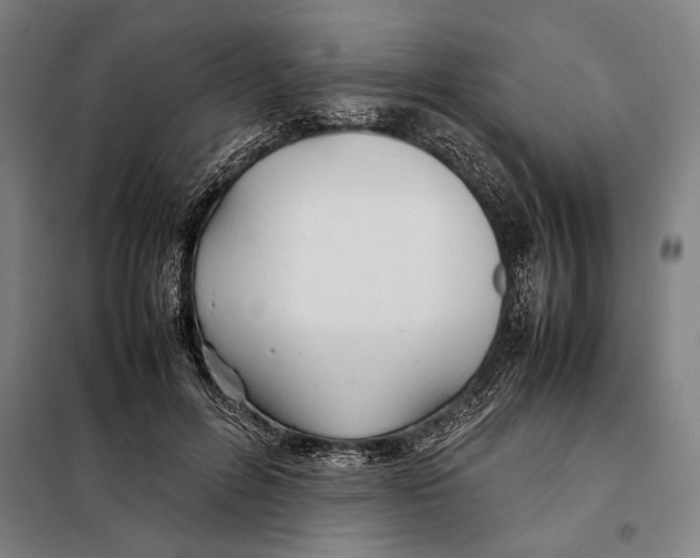 X0000097900600200804041439