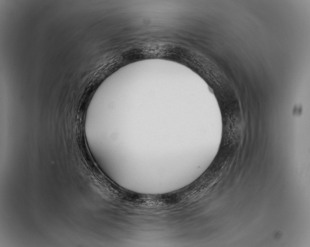 X0000097900601200804041439