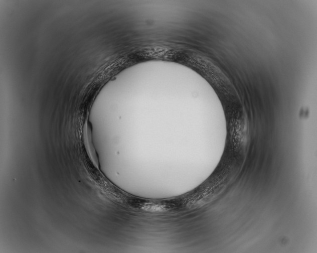 X0000097900602200804041439