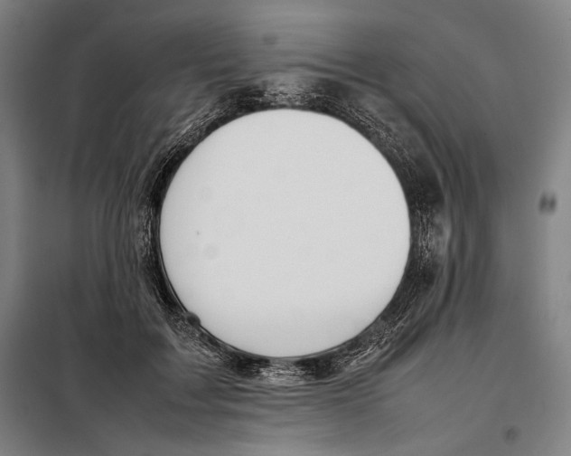 X0000097900603200804041439