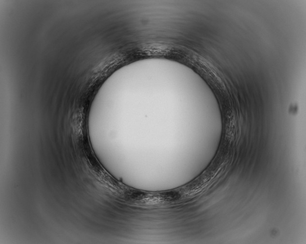 X0000097900604200804041439