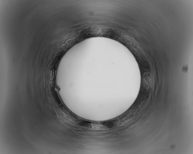 X0000097900605200804041439