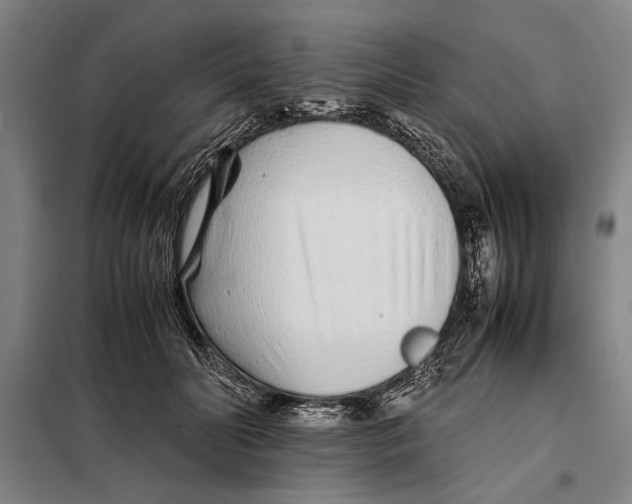 X0000097900606200804041439