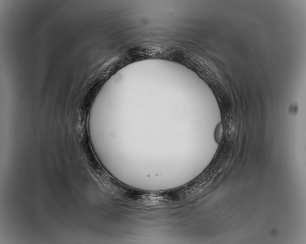 X0000097900607200804041439