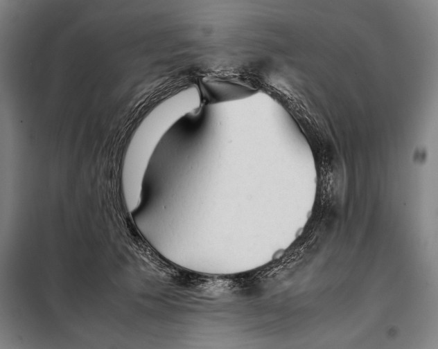 X0000097900609200804041439